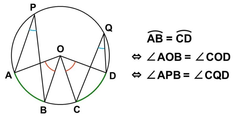 弧・中心角・円周角の対応関係